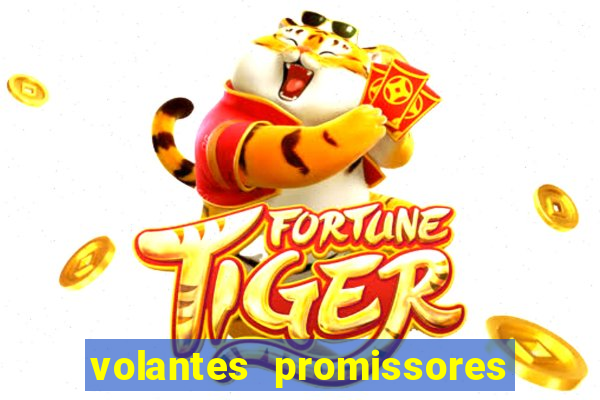 volantes promissores ea fc 24